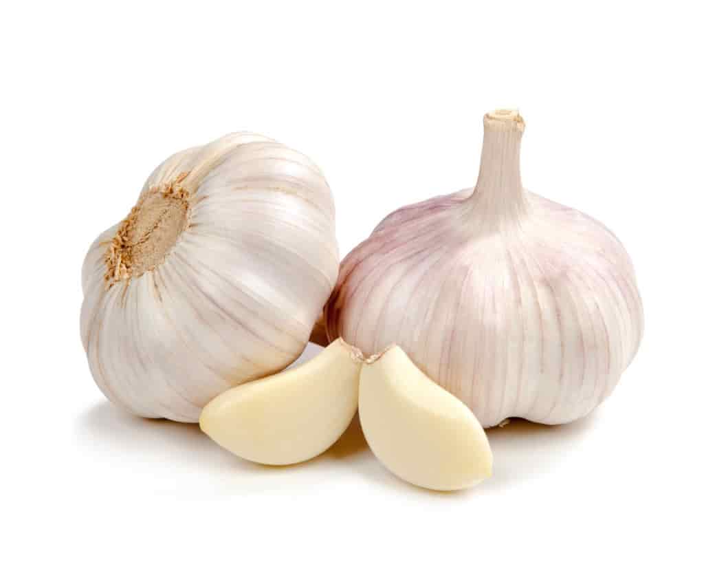 GARLIC GARLIC
