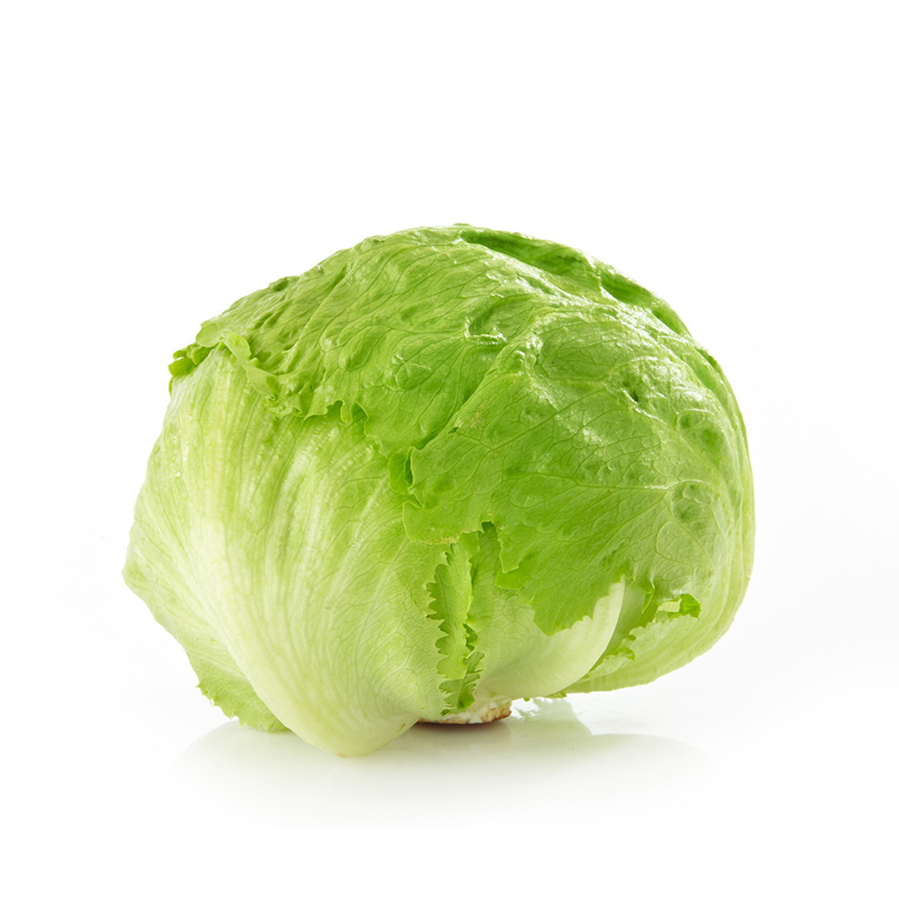 ICE BERG LETTUCE ICE BERG LETTUCE