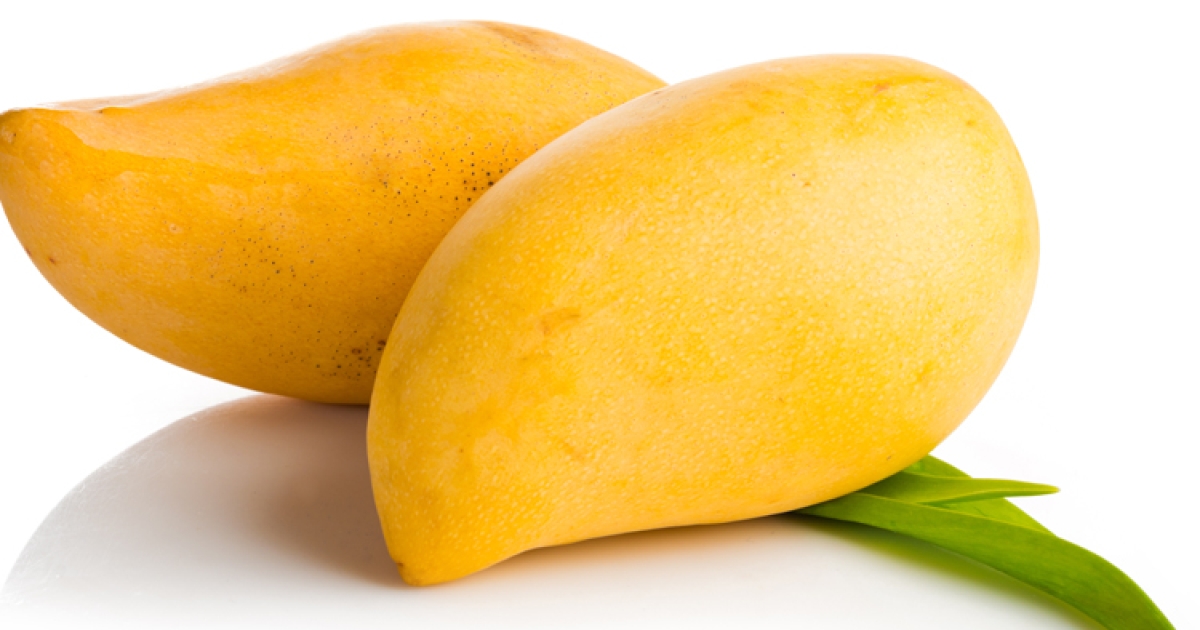 MANGO MANGO